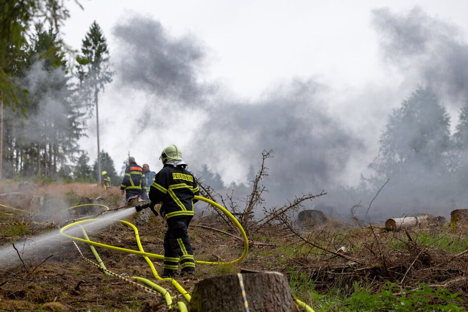 Die Feuerwehren simulierten die Bekämpfung eines Waldbrandes.