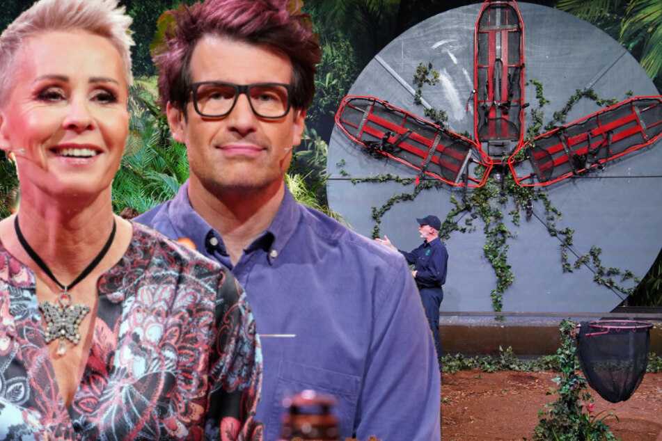Mega-Fail in der Dschungelshow! Diesen peinlichen Fehler hat sich RTL erlaubt