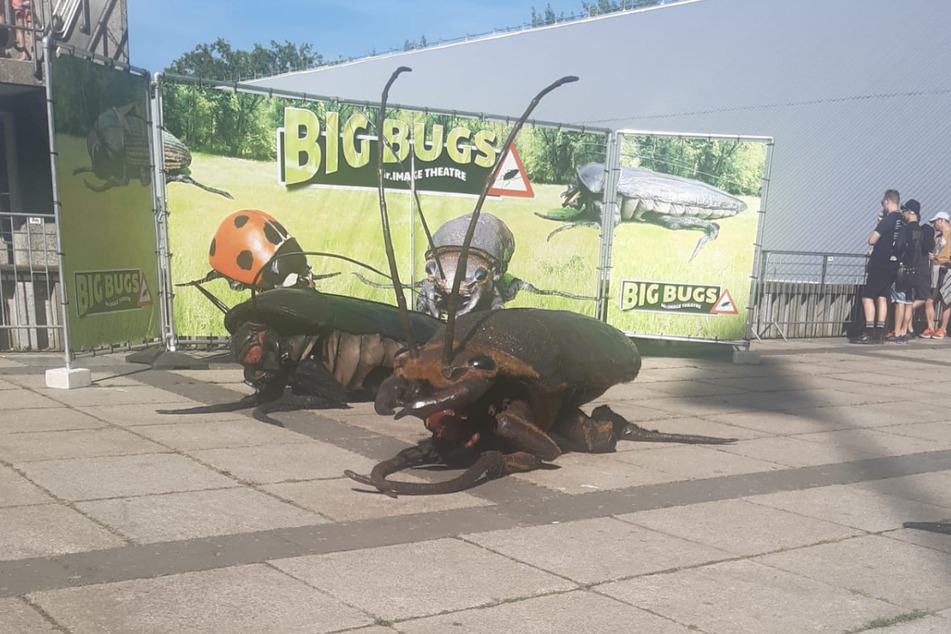 Keine Sorge. Die Riesen-Käfer sind nicht echt.