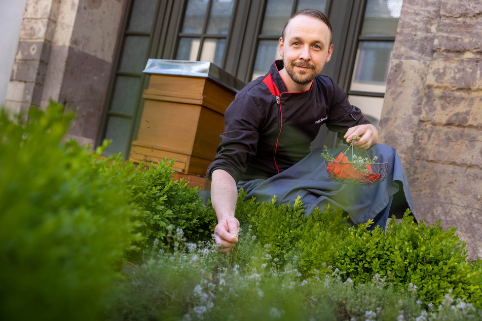 Restaurant manager Christian Weidt (38) shows his own herb garden in the courtyard of the Schönherr factory.