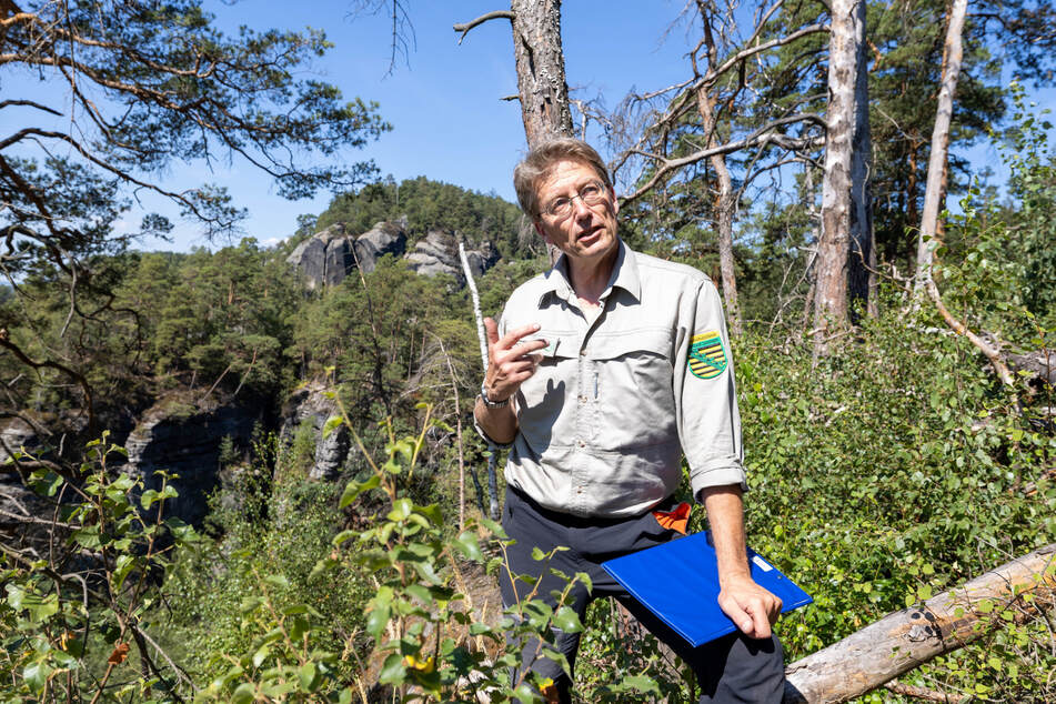 Nationalpark-Sprecher Hanspeter Mayr (59) hofft auf eine Rückkehr der Natur.