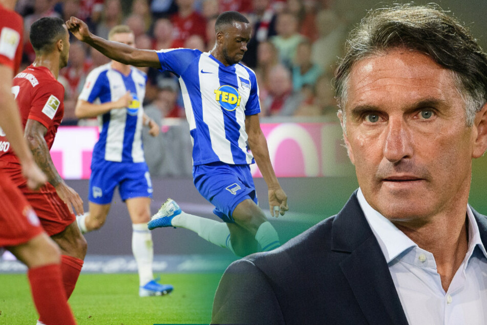 Bruno Labbadia reist mit einem klaren Plan zum FC Bayern München. Trifft Dodi Lukebakio (l.) erneut?