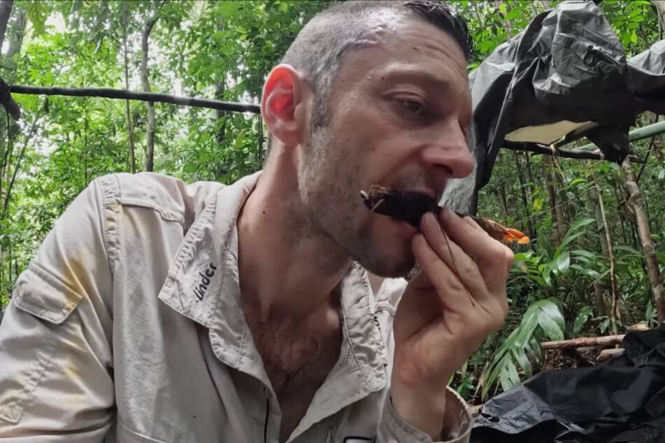 Tagelang ernährten sich die Teilnehmer von energiearmen "Baumfarn-Herzen".