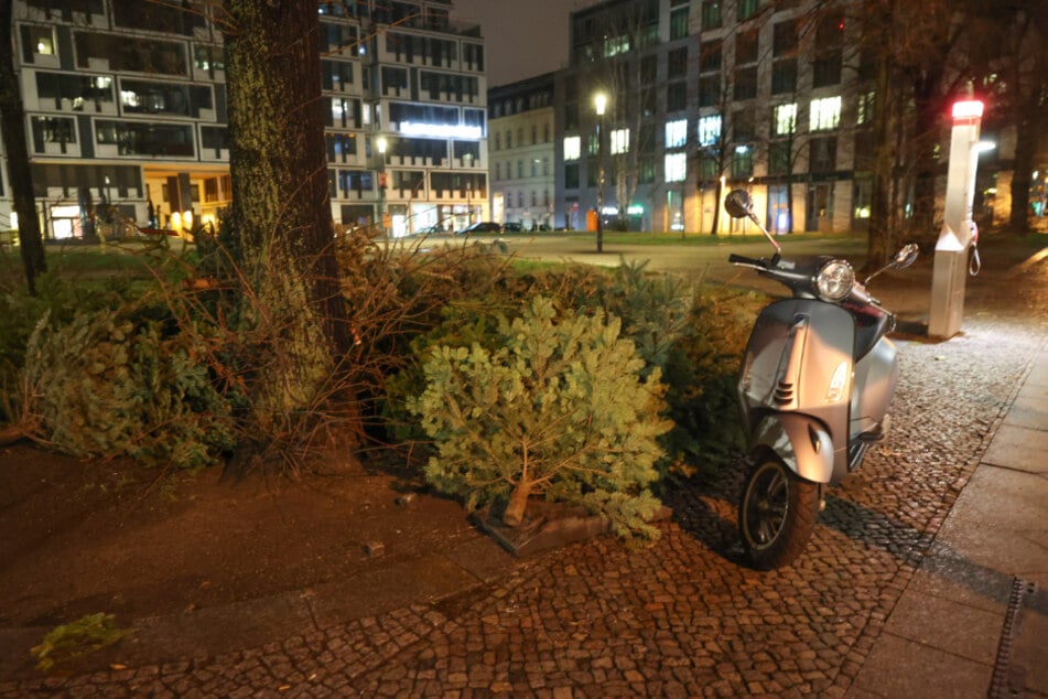 Was die berühmte IKEA-Werbung vormacht ist Wirklichkeit: Jahr für Jahr landen unzählige Weihnachtsbäume auf den Gehwegen und Straßen.