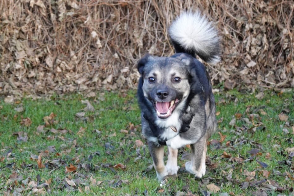 ... und sehnt sich nach seinem Happy End.