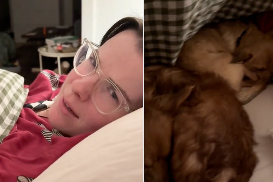Die US-Amerikanerin reagiert angemessen - und lässt beide Vierbeiner in ihrem Bett schlafen.
