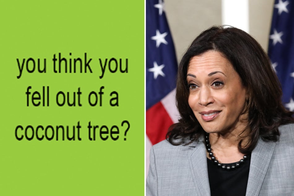 Kamala Harris memes break the internet as Gen-Z rallies for the coconut tree presidency