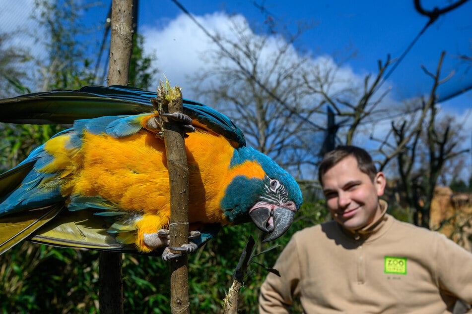 Der Zoo Leipzig lädt mit Tierpflegergesprächen, Elefantenbad und Familienaktionen zum Feiertagsausflug ein.