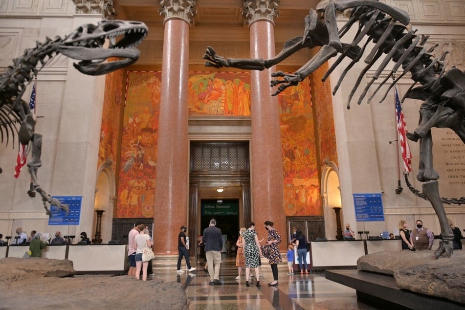 Museum-goers enter the American Museum of Natural History via the Theodore Roosevelt Rotunda.