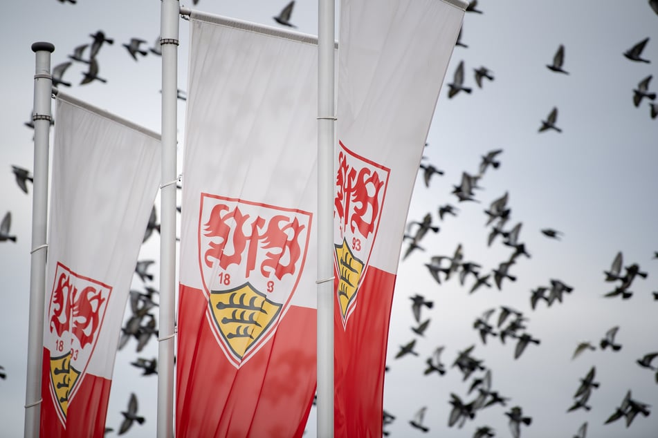 Flaggen mit dem Logo des Fußball-Bundesligisten VfB Stuttgart wehen auf dem Trainingsgelände im Wind. (Archivbild)