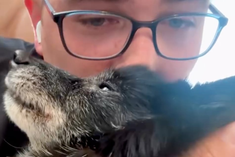 Jeffrey Kelleher (38) verzeiht der frechen alten Hündin alles.