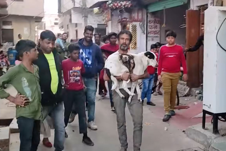 Sein menschlicher Freund trug den verletzten Straßenhund in einer rührenden Geste zum Auto der Tierschützer.
