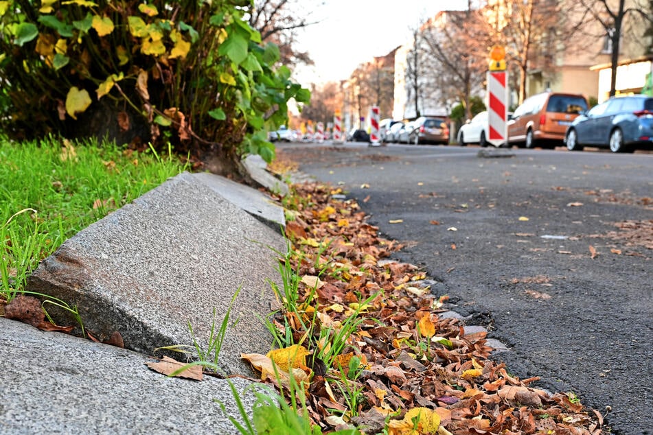 Sanierungsarbeiten an der Wittenberger Straße in Striesen sind dringend nötig.