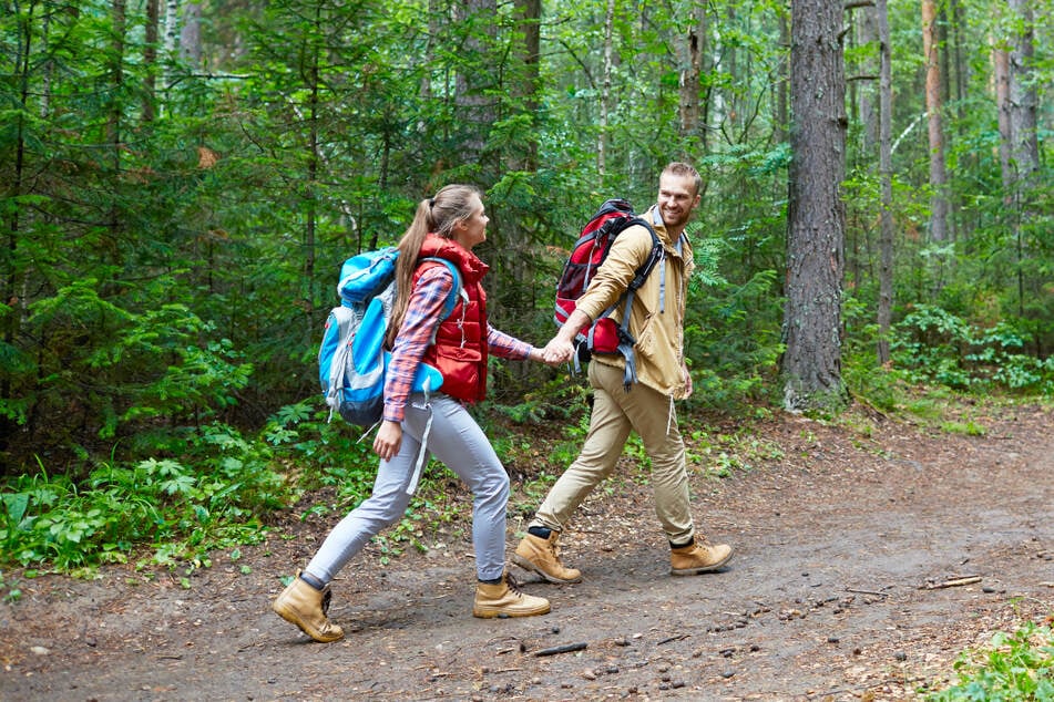 Darum sind am Sonntag (22.6.) viele Menschen in diesem sächsischen Wald unterwegs