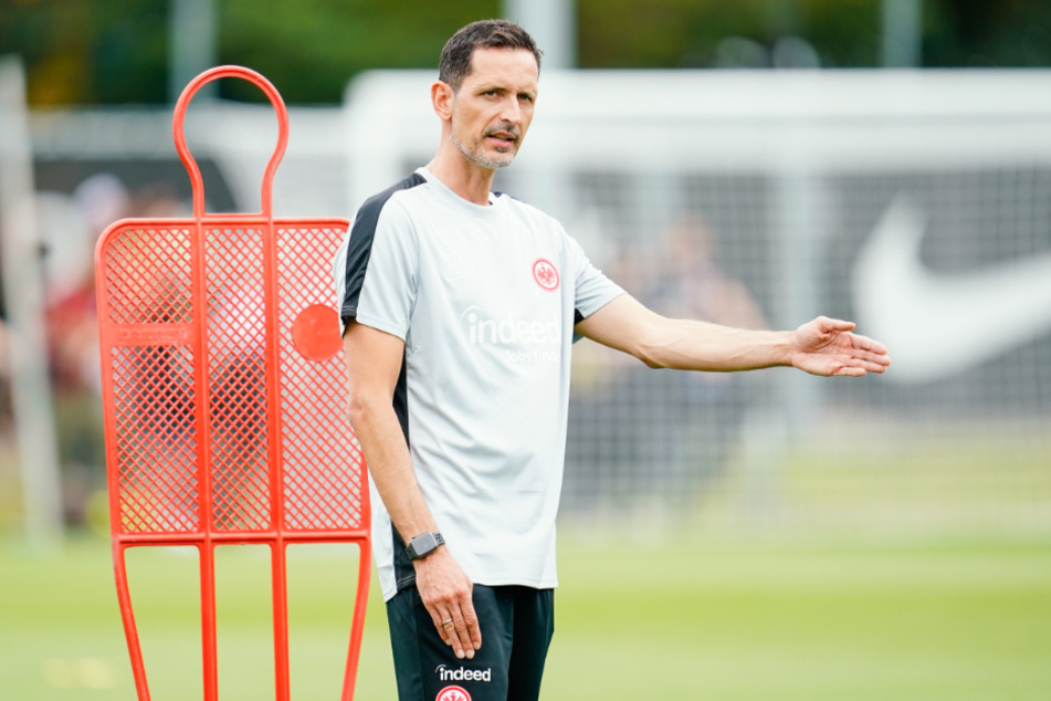 Eintracht Frankfurts Chefcoach Dino Toppmöller (43) macht keinen Hehl daraus, welche erfahrenen Spieler in der neuen Saison liefern müssen.