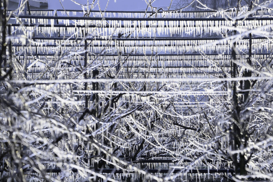 Am Donnerstag soll in Hamburg der erste Schnee fallen.