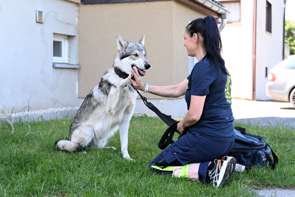 Wer ein Haustier in einer medizinischen Notlage vorfindet, kann die Tierretter unter Tel.: 0180/5 03 75 00 kontaktieren.