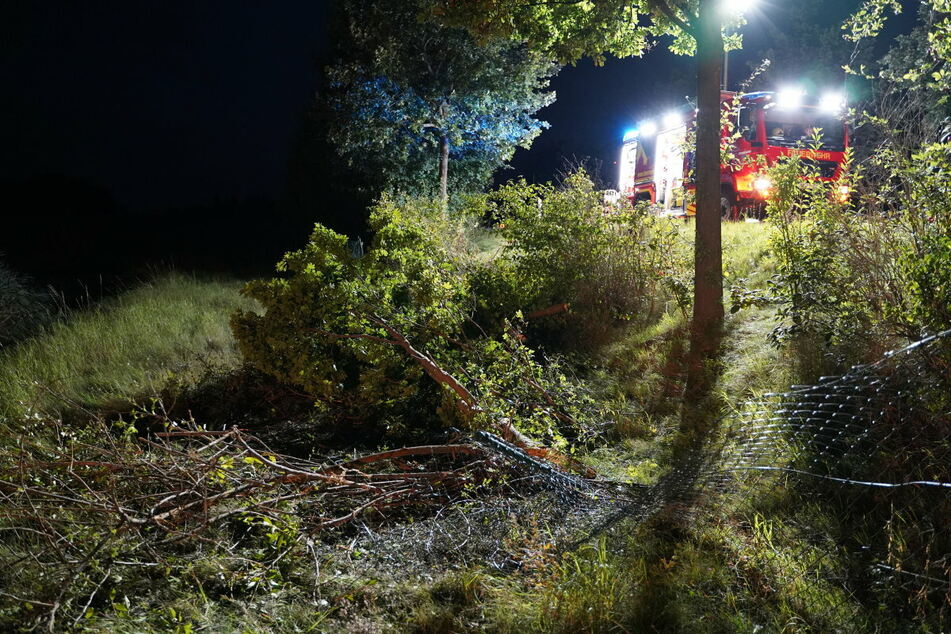 Bei dem Unfall wurde ein Zaun beschädigt und mehrere Bäume gefällt.