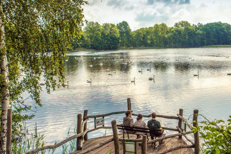 Die Oberlausitzer Heide- und Teichlandschaft ist das größte zusammenhängende Teichgebiet in Deutschland.