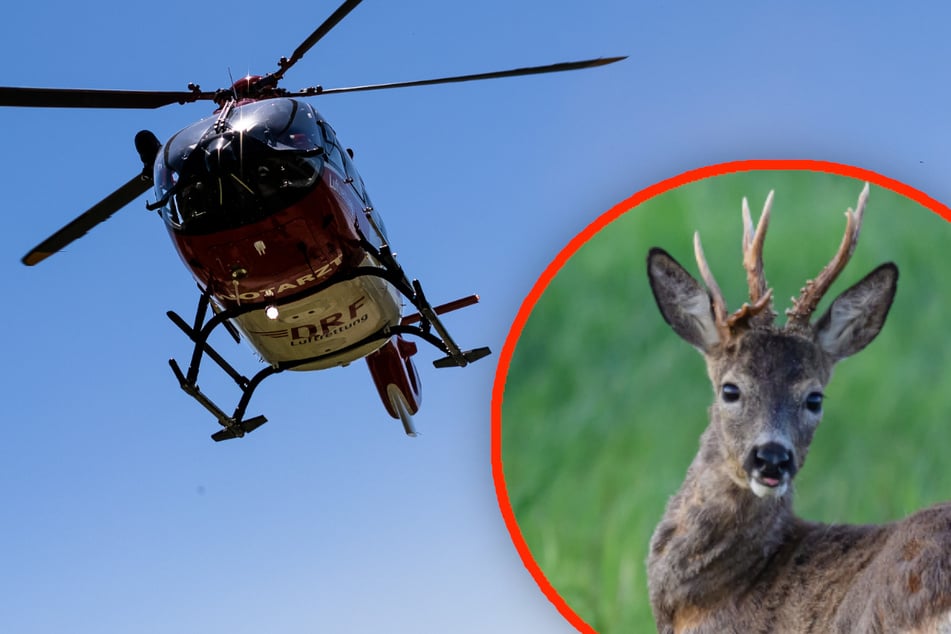 Nach dem Zusammenstoß mit einem Reh musste ein Mann mit dem Hubschrauber ins Krankenhaus geflogen werden. (Symbolbild)