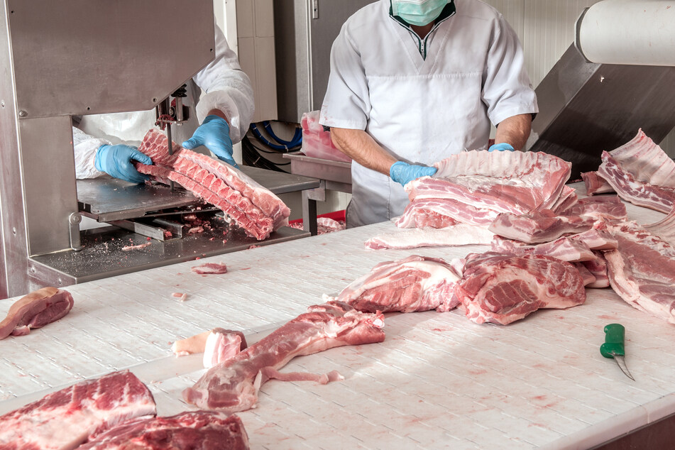 Die Schweineindustrie müsse in China laut den Forschern unter strenger Beobachtung gestellt werden. (Symbolbild)