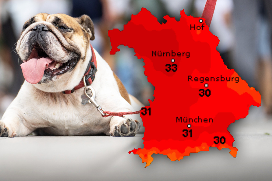 Es wird richtig heiß!