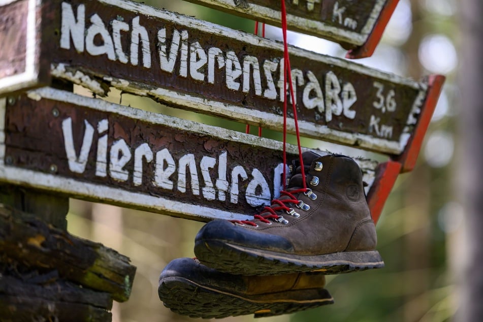 Ein historischer Wegweiser am Fichtelberg: Jährlich zieht es zahlreiche Wanderer in die Region.