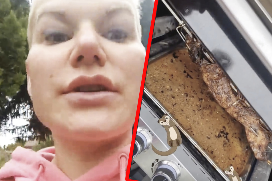 "Im Osten was ganz leckeres!" Welches Tier landet denn hier auf Melanie Müllers Teller?