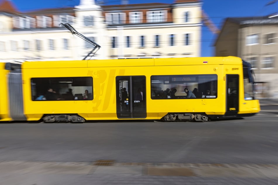 Hitzeblog für Dresden: DVB machen Ausnahme - Was Fahrern am Wochenende erstmals erlaubt wurde
