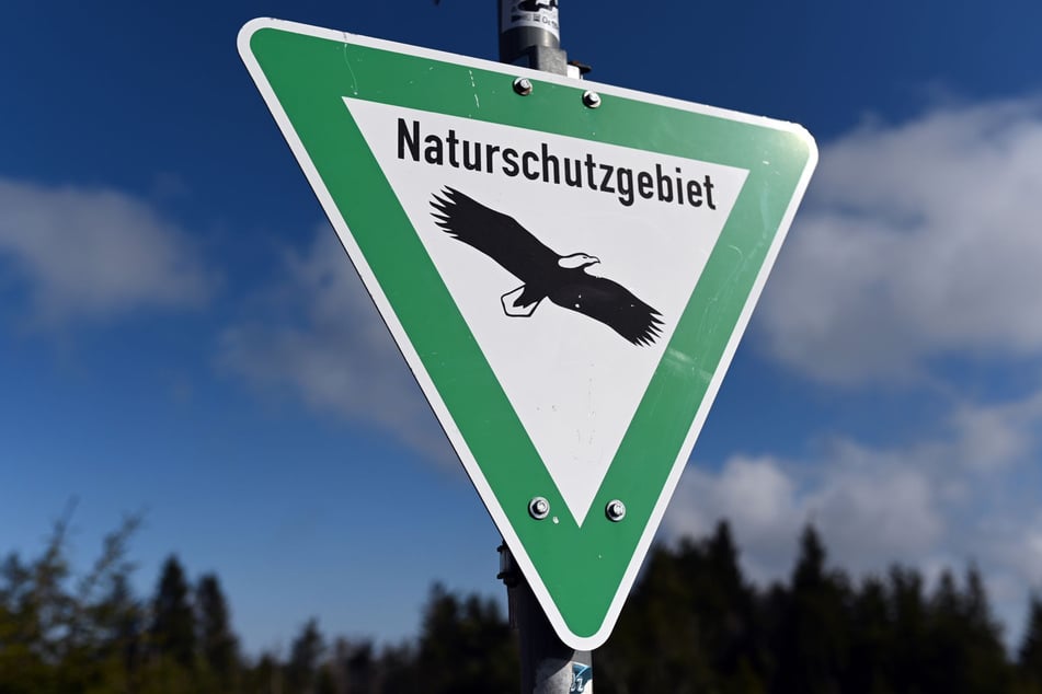Auf der Hornisgrinde im Nordschwarzwald steht ein Schild mit der Aufschrift "Naturschutzgebiet".