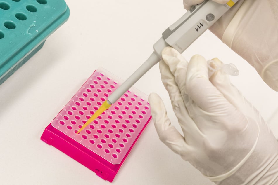 Mit einem DNA-Test werden Unterschiede im Erbgut von Obstsorten festgestellt.
