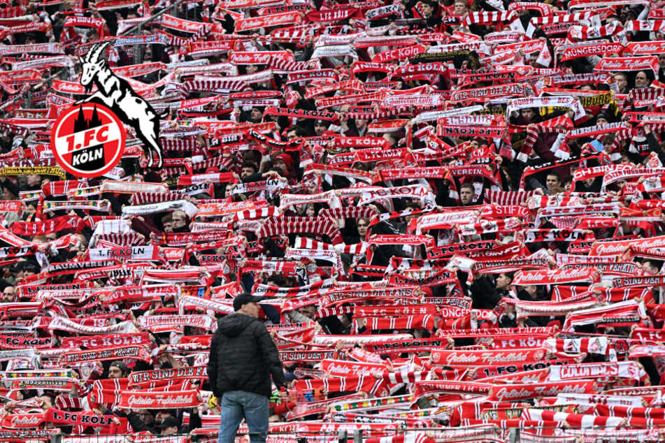 "Feind schlagen - Die Klasse halten!": Fans peitschen 1. FC Köln vor Rhein-Derby an