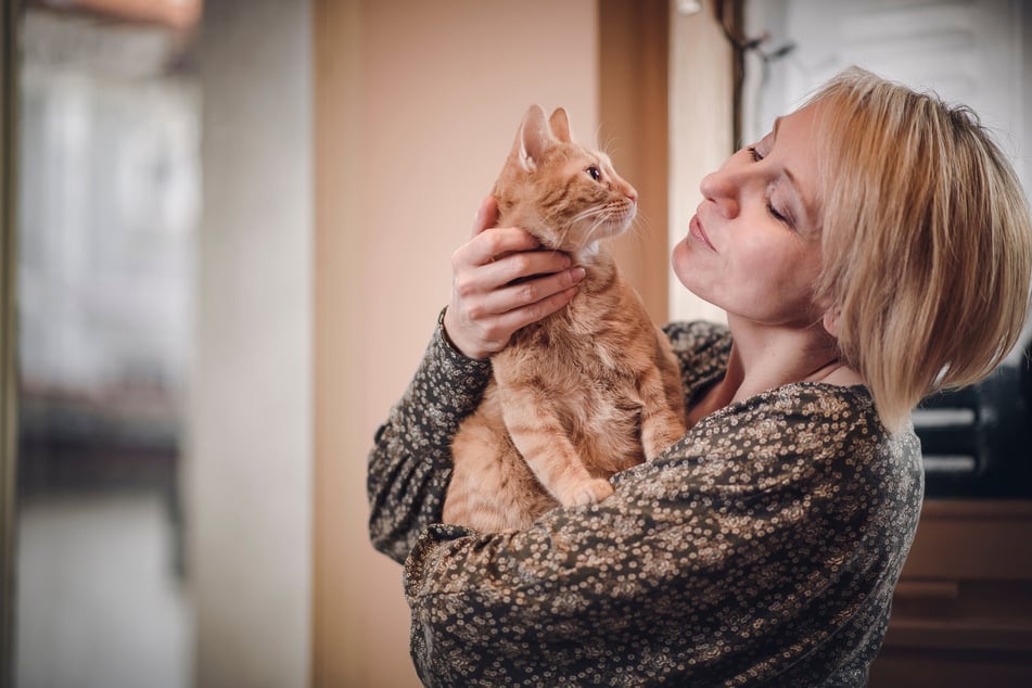 Wie sehen Katzen uns Menschen? Die Antwort gibt's von TAG24.