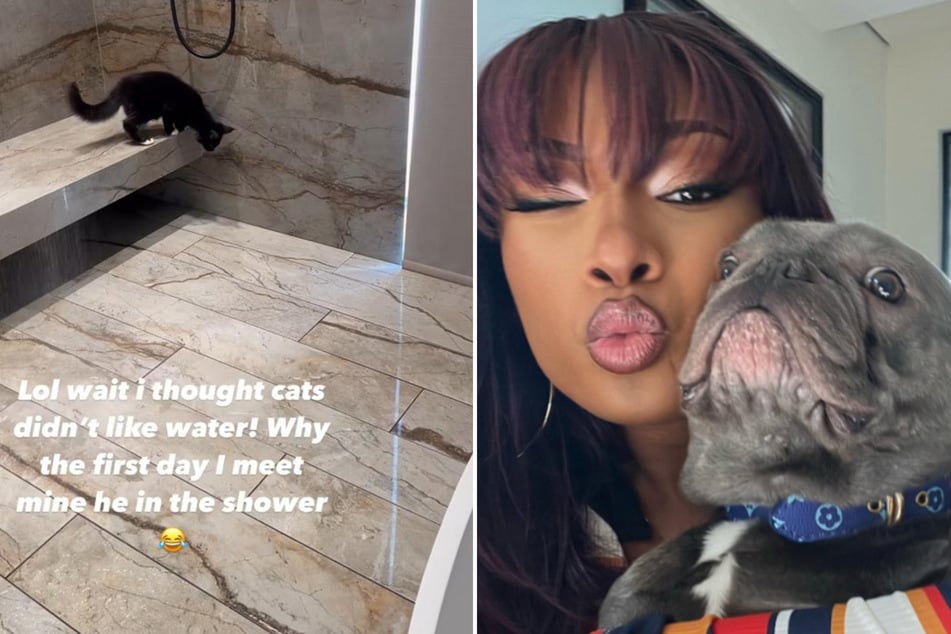Megan's new cat, 9, likes to play in the shower (l) and her dog Foe has his own Instagram page.