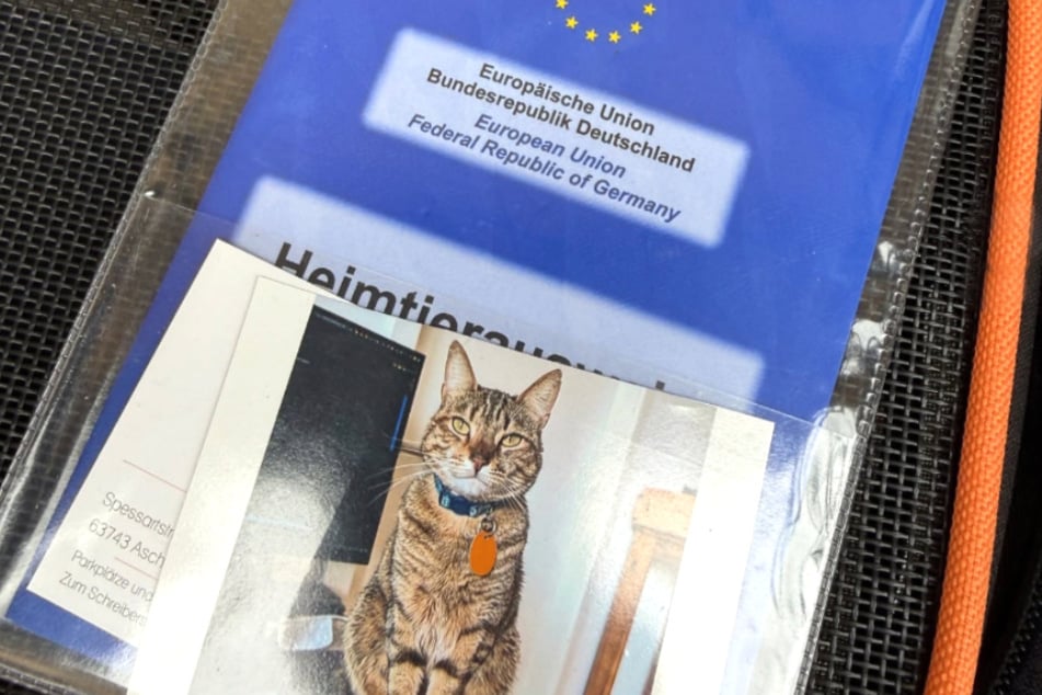 In ihren Papieren waren nicht nur sämtliche Informationen über Katze Gany hinterlegt, sondern auch über ihren Besitzer.