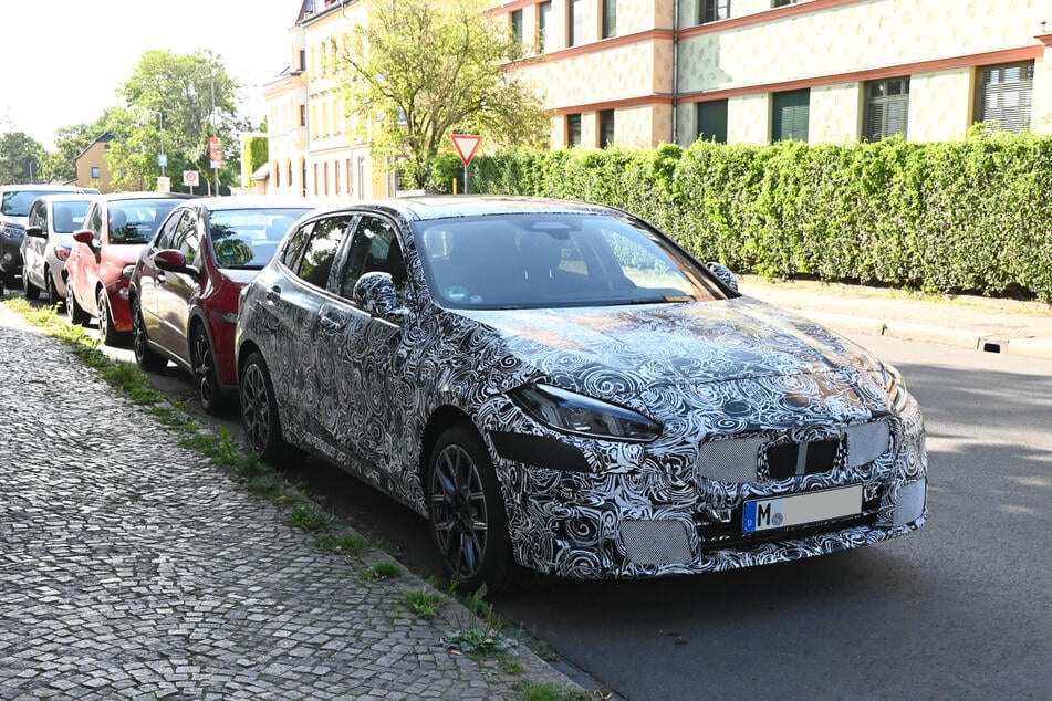 In einem Wohngebiet im Leipziger Stadtteil Wahren wurde am Sonntag ein sogenannter Erlkönig gesichtet.