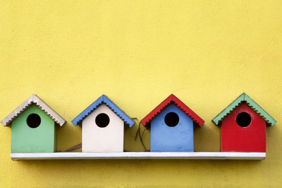 Bei der Naturschutzstation könnt Ihr am Samstag Nistkästen bauen. (Symbolbild)
