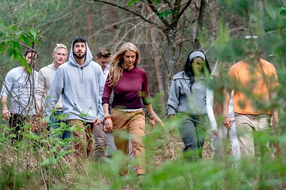 "Die Werwölfe von Düsterwald" ist ein populäres Kartenspiel. Bei ARD startet eine gleichnamige Show nun das soziale Experiment mit Influencern.
