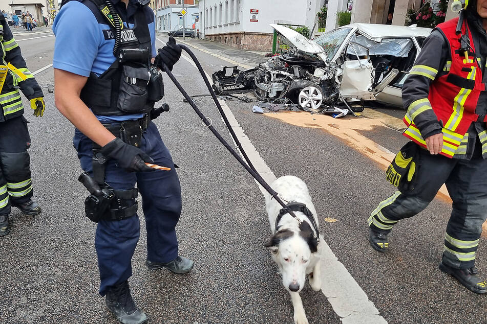 Augenscheinlich unverletzt: Dieser Hund wurde von der Feuerwehr aus dem Trümmer-Auto gerettet.