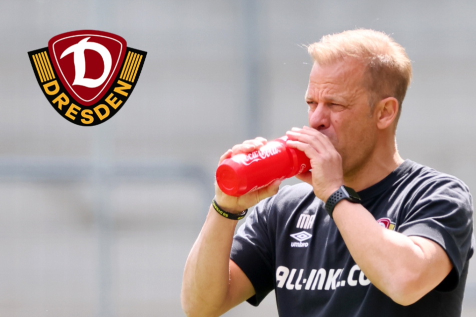Trotz irren Aufstiegskampfs: Dynamo-Trainer Markus Anfang bleibt sich treu!