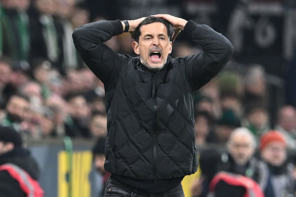 Dino Toppmöller (45) musste in dieser Saison vorzeitig seinen Hut nehmen.