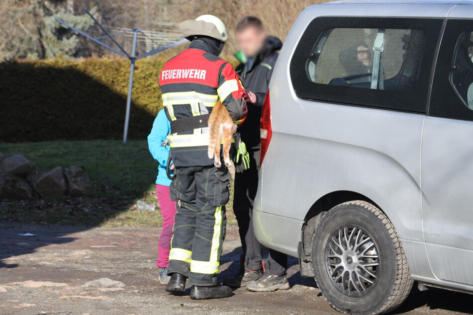 Die Feuerwehr konnte noch eine Katze aus dem Haus retten.