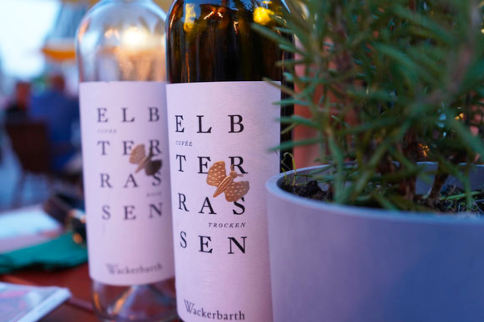 In der Wein-Lounge am Jakobikirchplatz ist Abwechslung vorprogrammiert.
