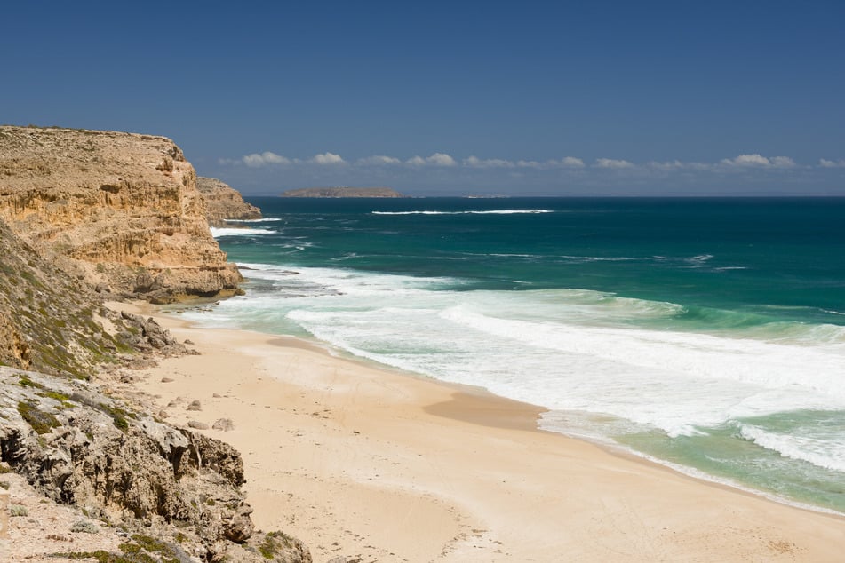 Am Ethel Beach herrscht nach dem schrecklichen Haiangriff nur noch Angst.