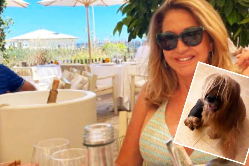 Carmen Geiss: Traurige Vergangenheit: Carmen Geiss zeigt Fans ihren dreibeinigen Hund