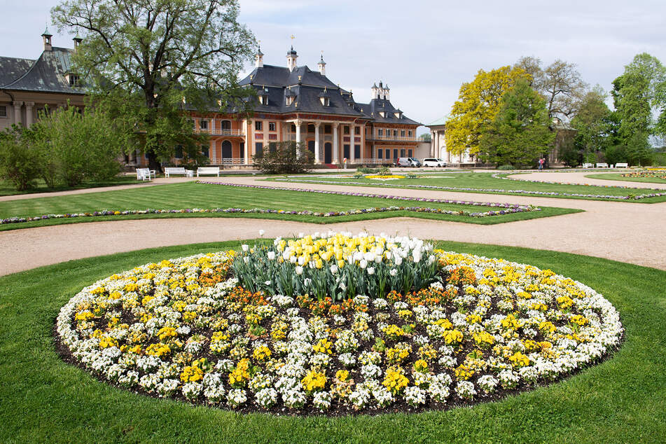 Auch der Schlosspark Pillnitz ist wieder offen. Allerdings gegen Eintritt.
