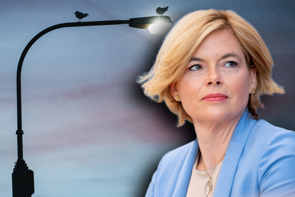 Ein Supermarkt-Angestellter fand die Puppe mit einem Bild von Julia Klöckner (48, CDU).