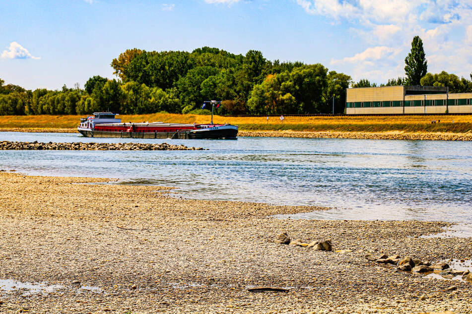 Schwimmer will Rhein durchqueren und gerät in Strömung: Mutige Helfer retten ihm das Leben