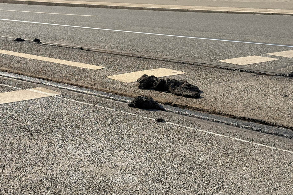 Im Nürnberger ÖPNV stehen Busse am Wochenende hoch im Kurs. Straßenbahnen mussten den Betrieb einstellen, weil der Straßenbelag weich geworden ist.