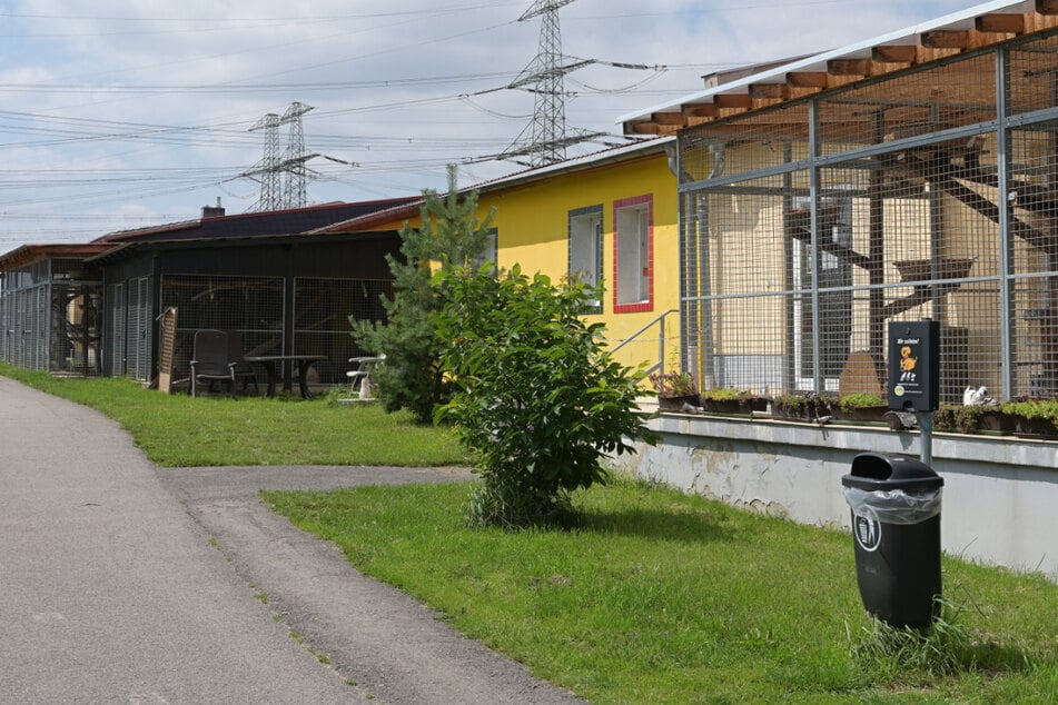 In der Einrichtung am Goetheweg entstand durch das Hochwasser hoher Sachschaden - Spenden werden gebraucht.